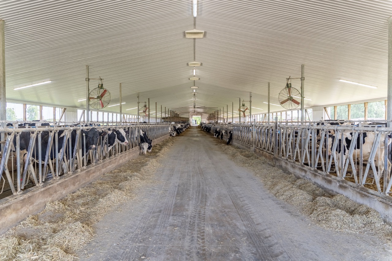 616725 13th Line, Tavistock, Ontario    - Photo 43 - RP1264801936