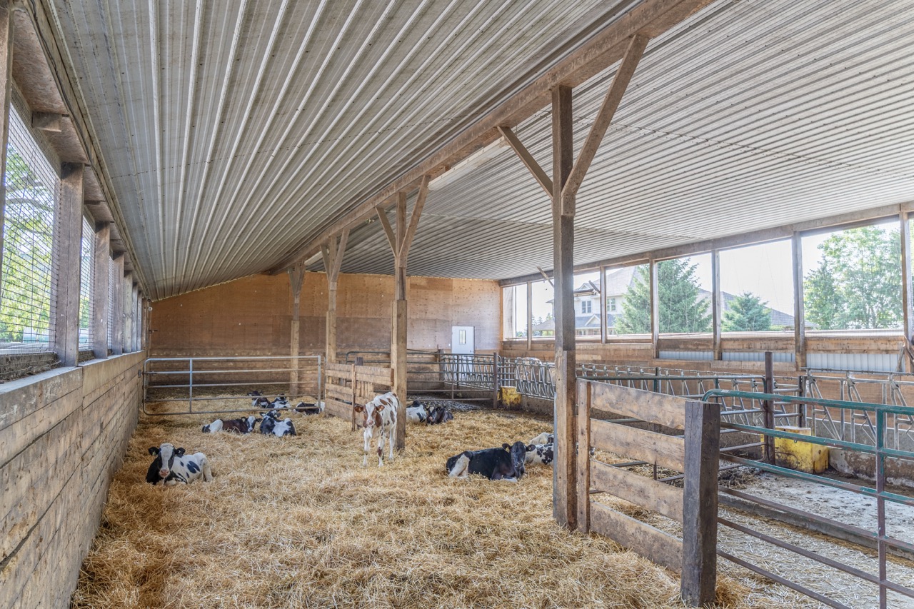 616725 13th Line, Tavistock, Ontario    - Photo 44 - RP1264801936