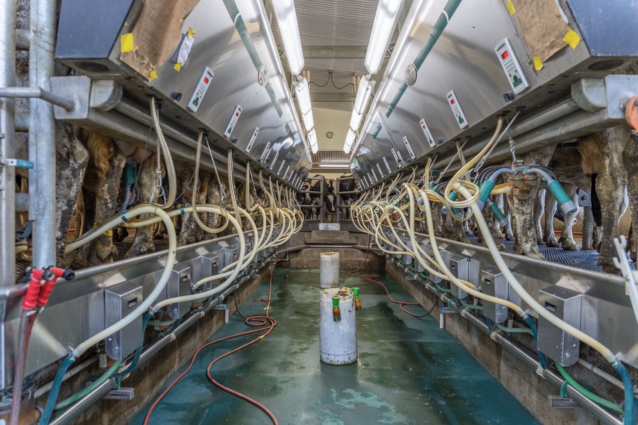 616725 13th Line, Tavistock, Ontario    - Photo 46 - RP1264801936