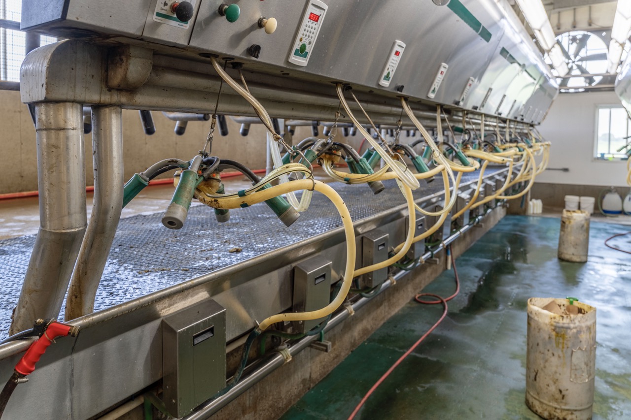 616725 13th Line, Tavistock, Ontario    - Photo 47 - RP1264801936