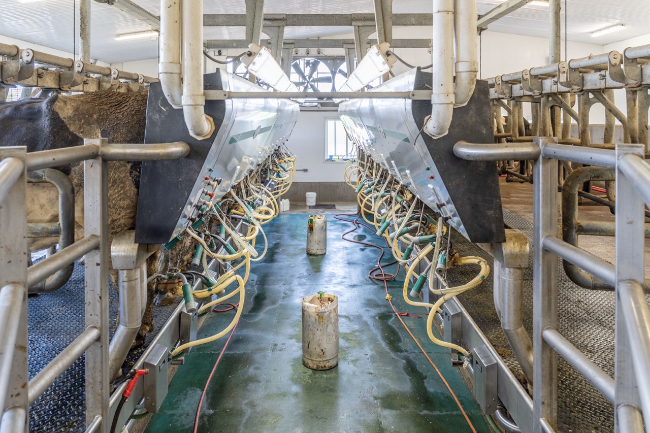 616725 13th Line, Tavistock, Ontario    - Photo 48 - RP1264801936