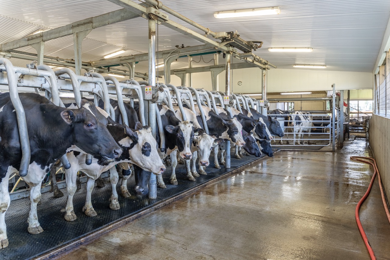 616725 13th Line, Tavistock, Ontario    - Photo 49 - RP1264801936