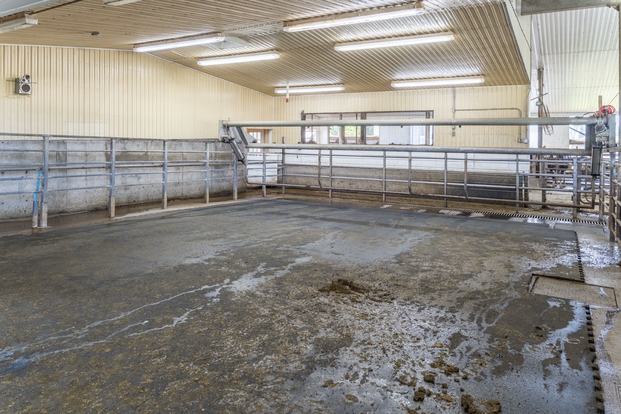 616725 13th Line, Tavistock, Ontario    - Photo 50 - RP1264801936