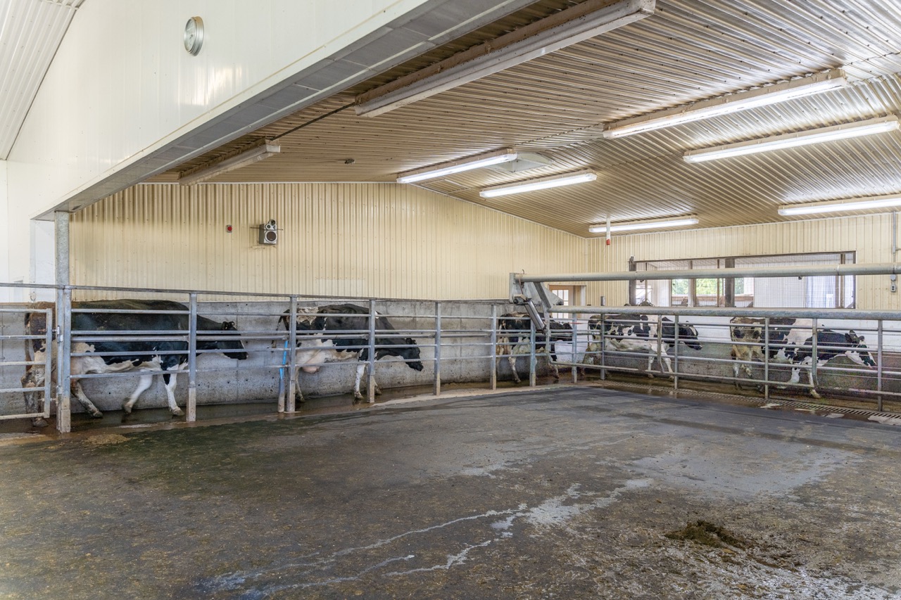 616725 13th Line, Tavistock, Ontario    - Photo 51 - RP1264801936