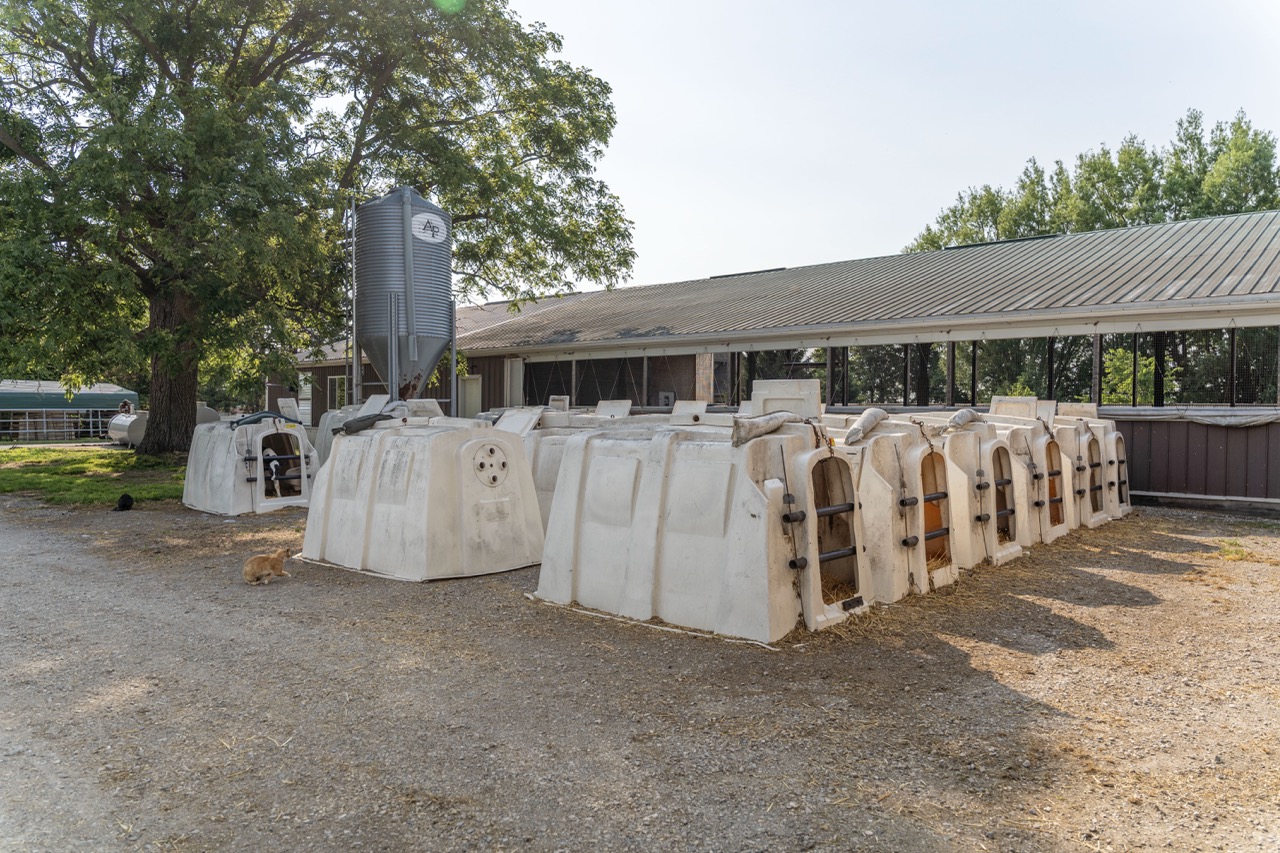 616725 13th Line, Tavistock, Ontario    - Photo 55 - RP1264801936