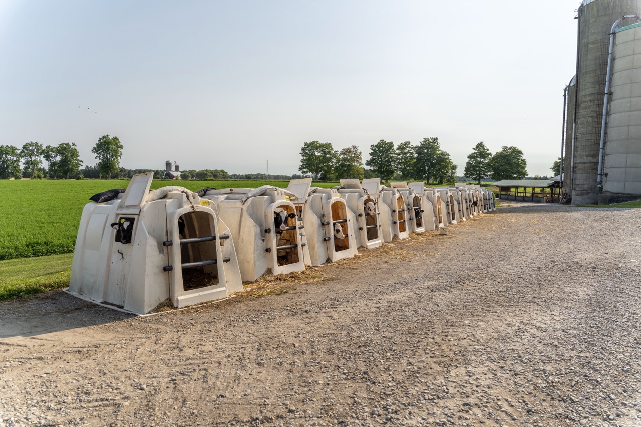 616725 13th Line, Tavistock, Ontario    - Photo 56 - RP1264801936