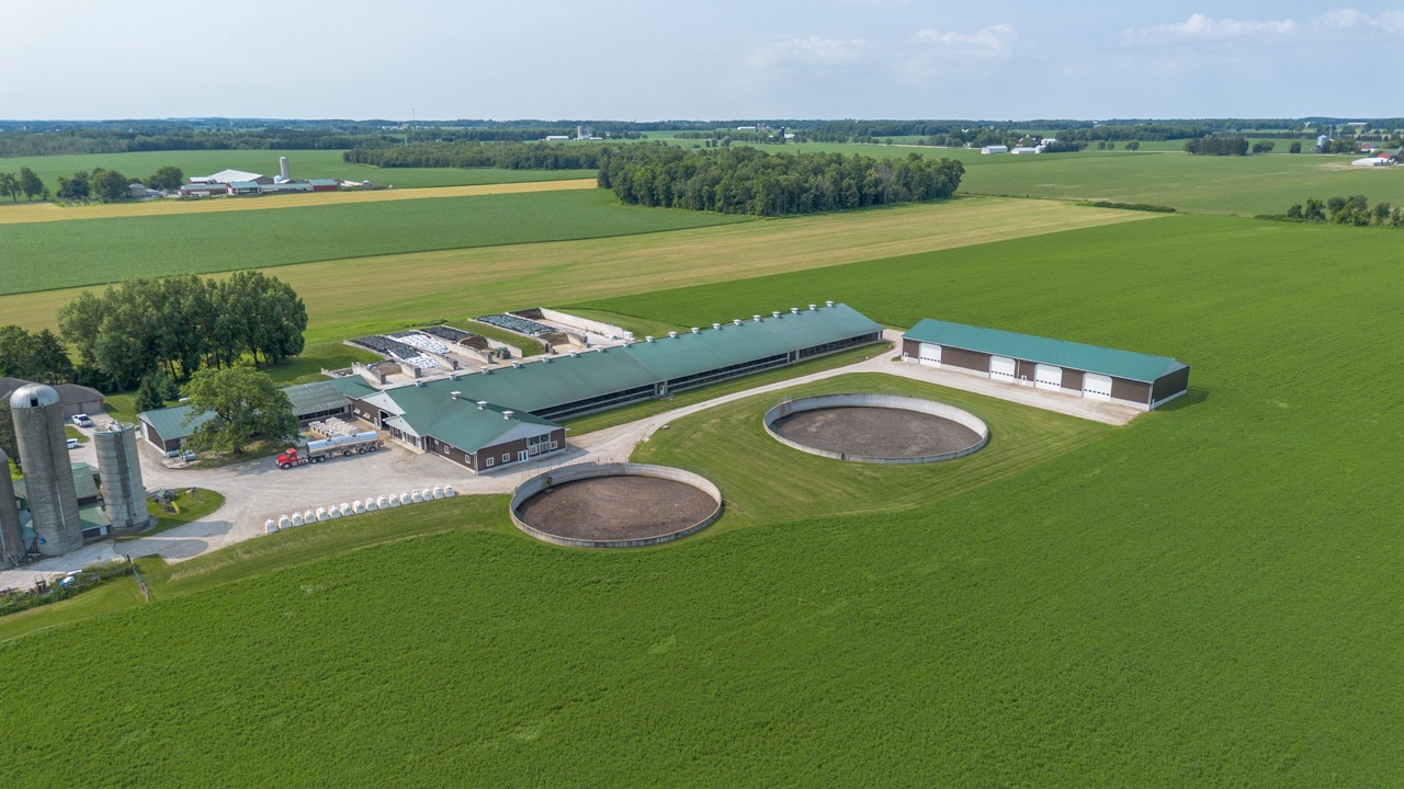 616725 13th Line, Tavistock, Ontario    - Photo 7 - RP1264801936