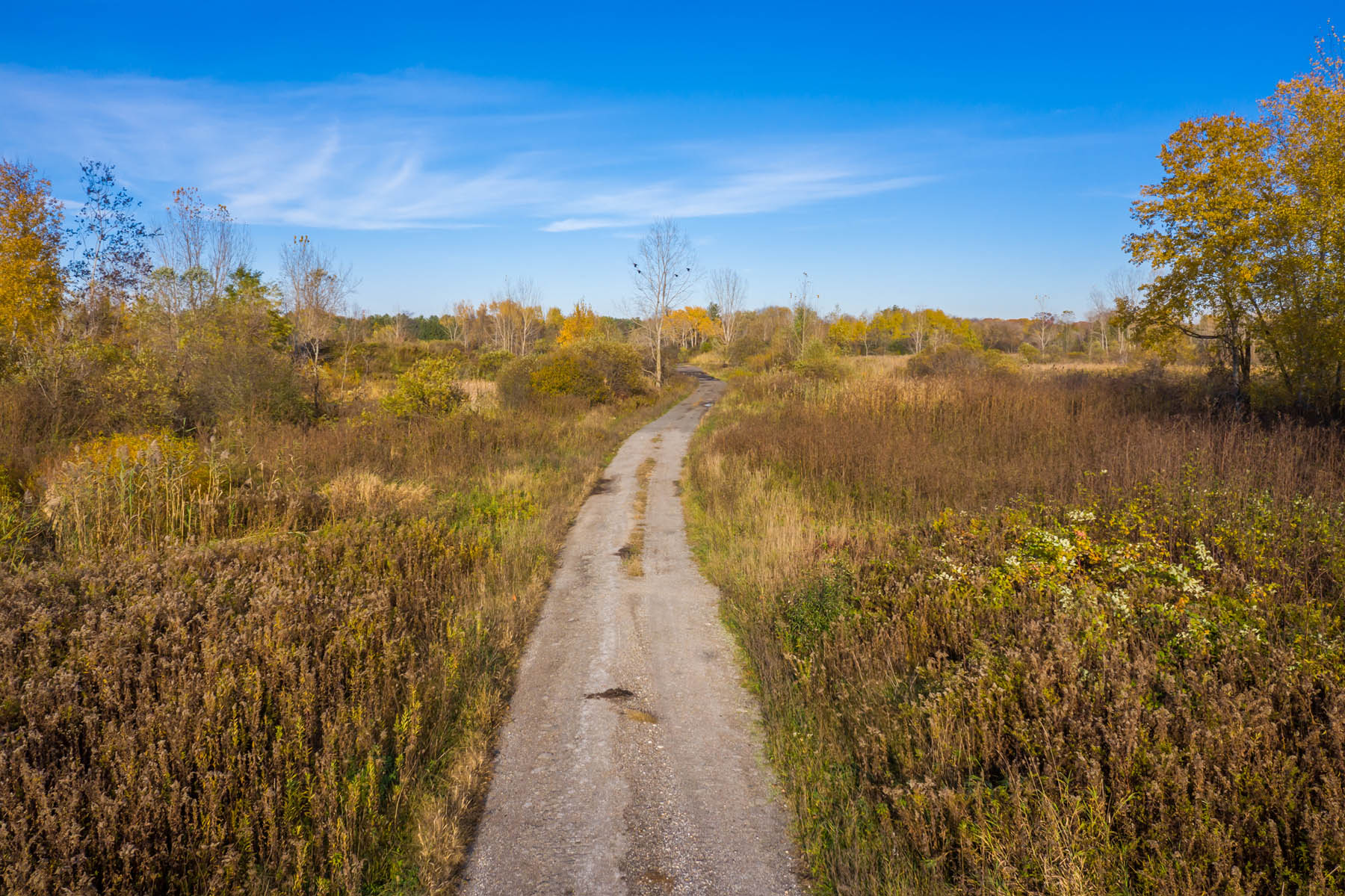 Pt Lt 1 Con 3, Komoka, Ontario  N0L 1W0 - Photo 12 - RP8330867230