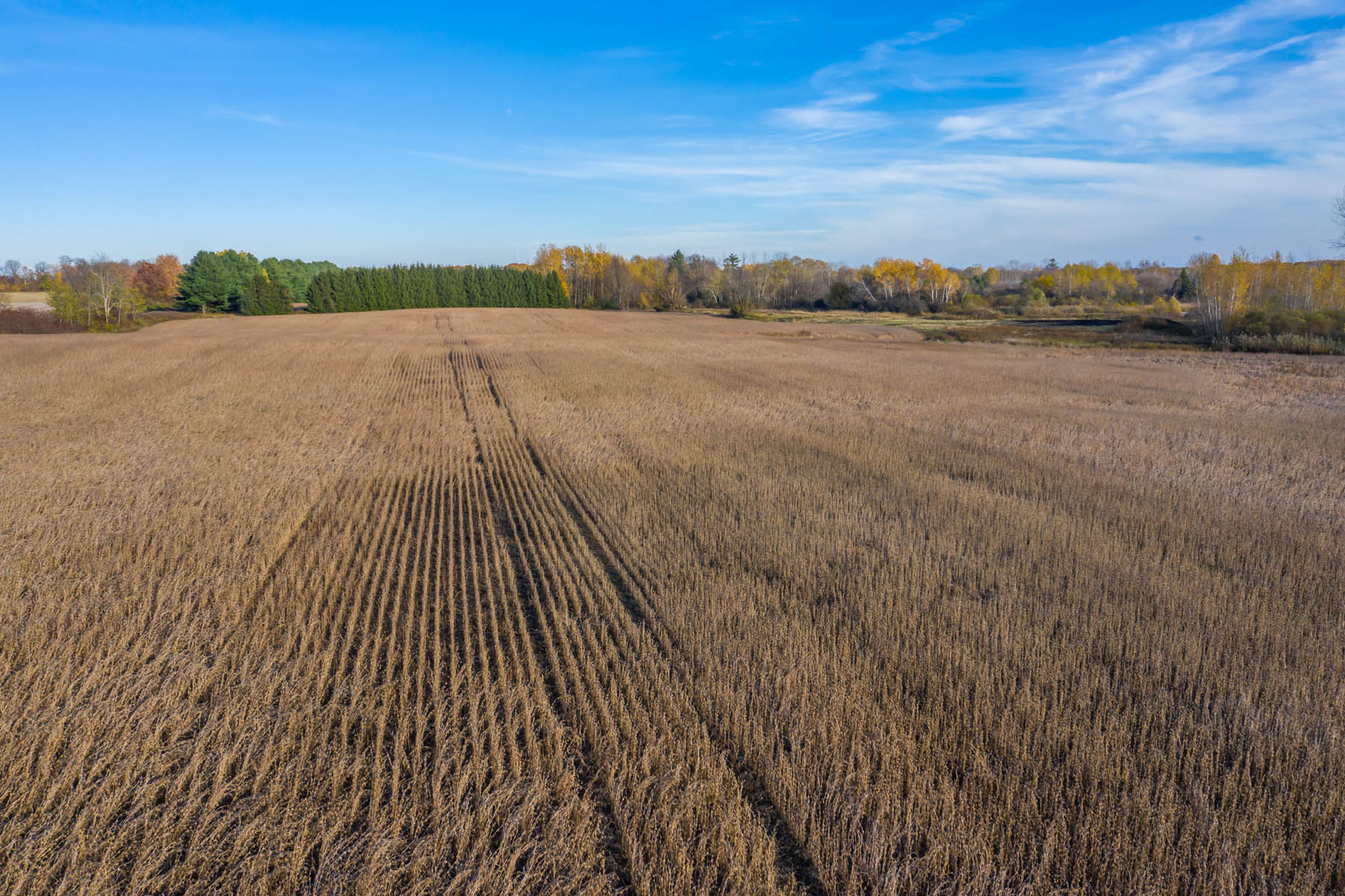 Pt Lt 1 Con 3, Komoka, Ontario  N0L 1W0 - Photo 9 - RP8330867230