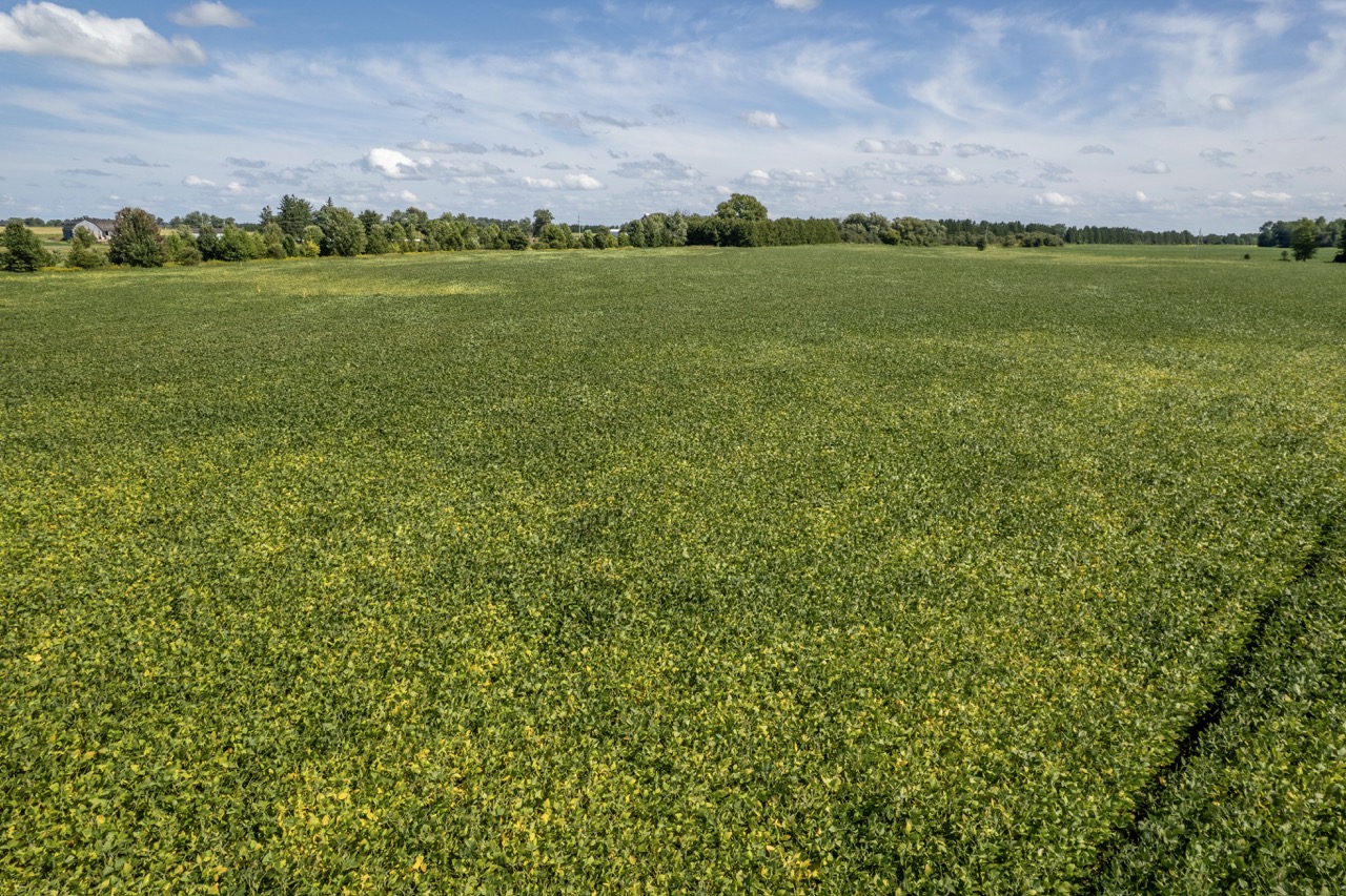 23171 Richmond Street, London, Ontario    - Photo 10 - RP271827137