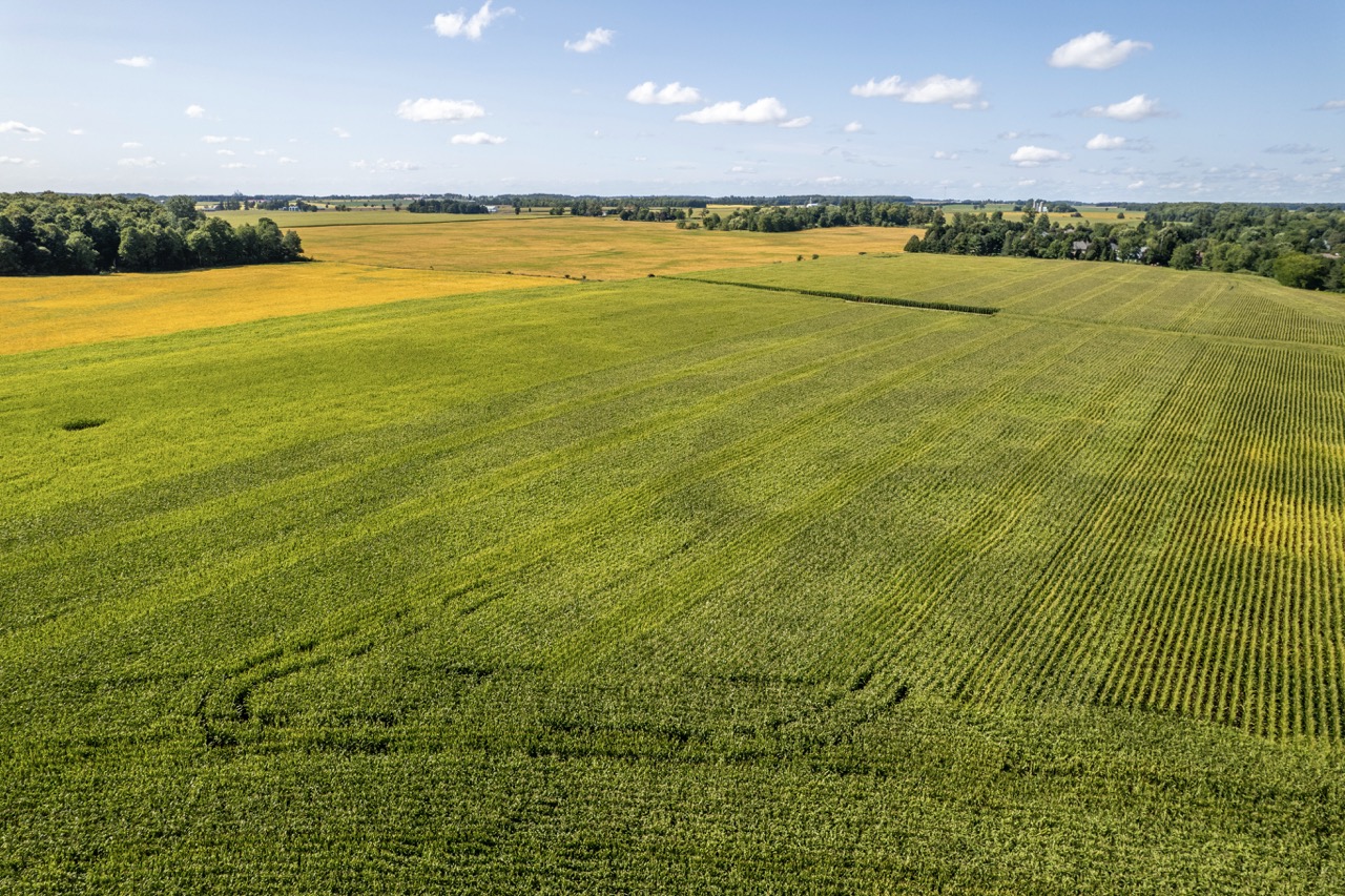 23171 Richmond Street, London, Ontario    - Photo 11 - RP271827137