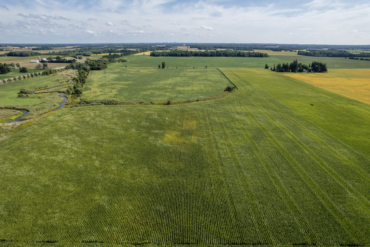 23171 Richmond Street, London, Ontario    - Photo 12 - RP271827137