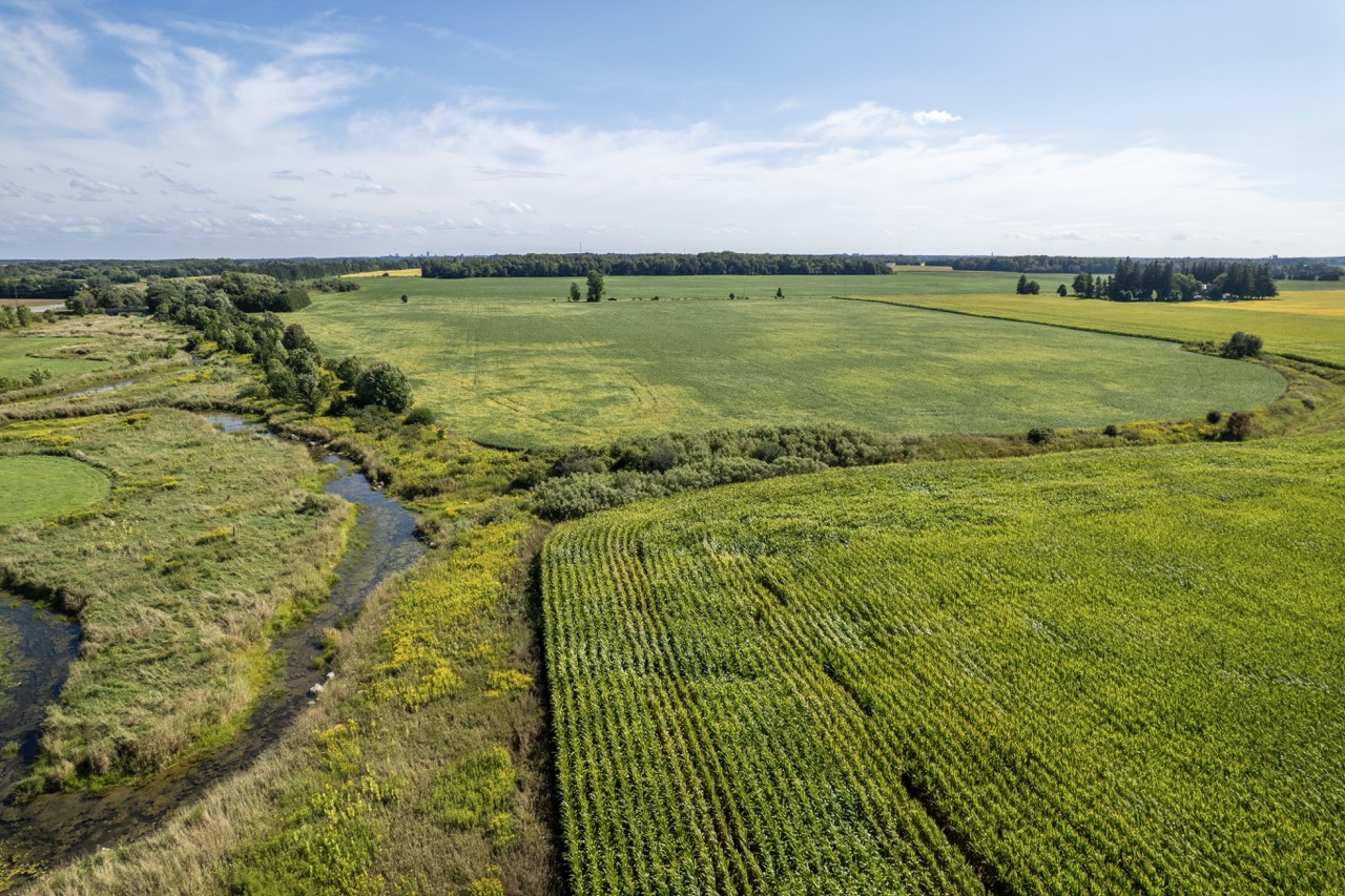 23171 Richmond Street, London, Ontario    - Photo 14 - RP271827137