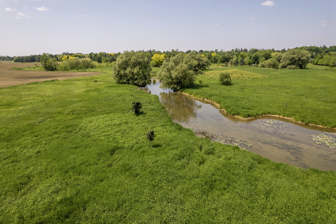 23171 Richmond Street, London, Ontario    - Photo 15 - RP271827137