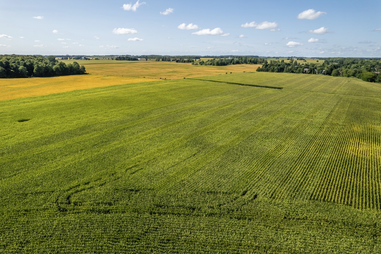 23171 Richmond Street, London, Ontario    - Photo 18 - RP271827137