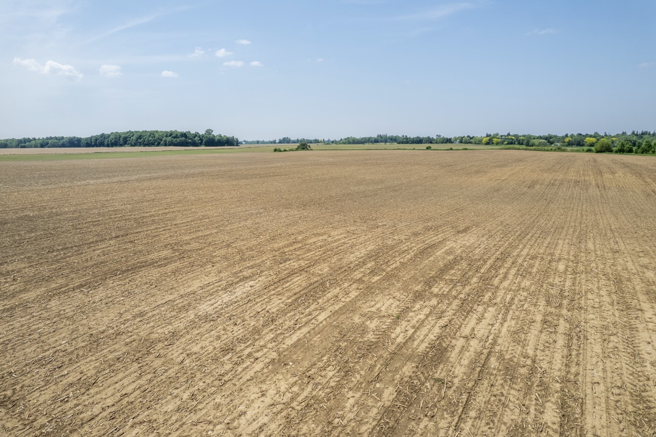 23171 Richmond Street, London, Ontario    - Photo 19 - RP271827137