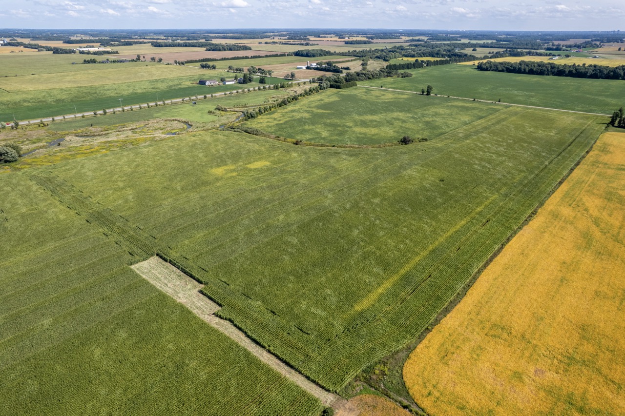 23171 Richmond Street, London, Ontario    - Photo 7 - RP271827137