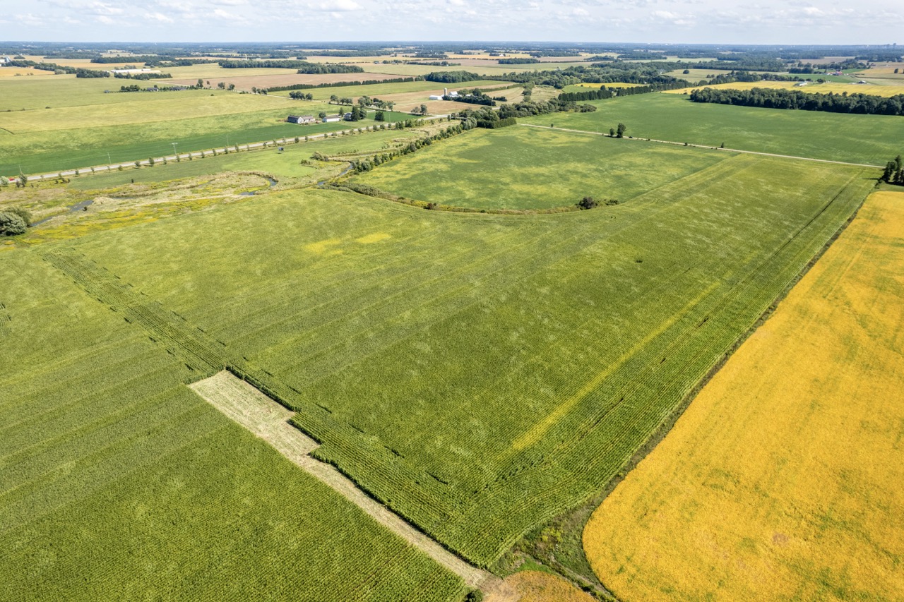 23171 Richmond Street, London, Ontario    - Photo 9 - RP271827137