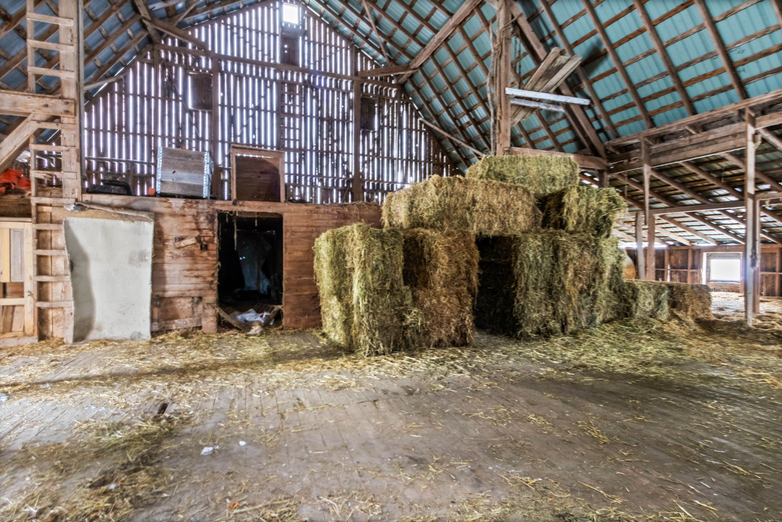 997 Concession Road 2, South Bruce, Ontario    - Photo 11 - RP1162375646