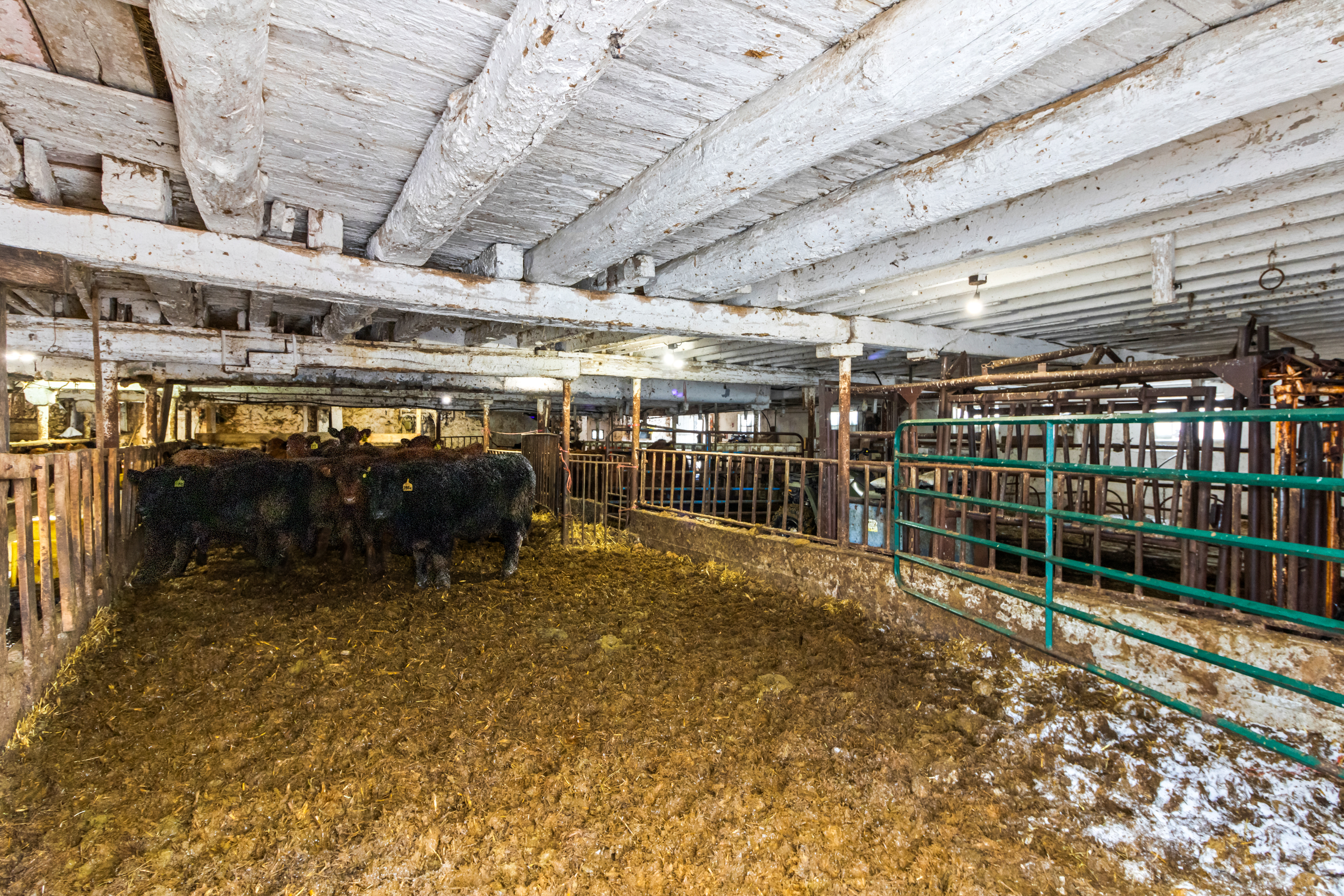 997 Concession Road 2, South Bruce, Ontario    - Photo 17 - RP1162375646