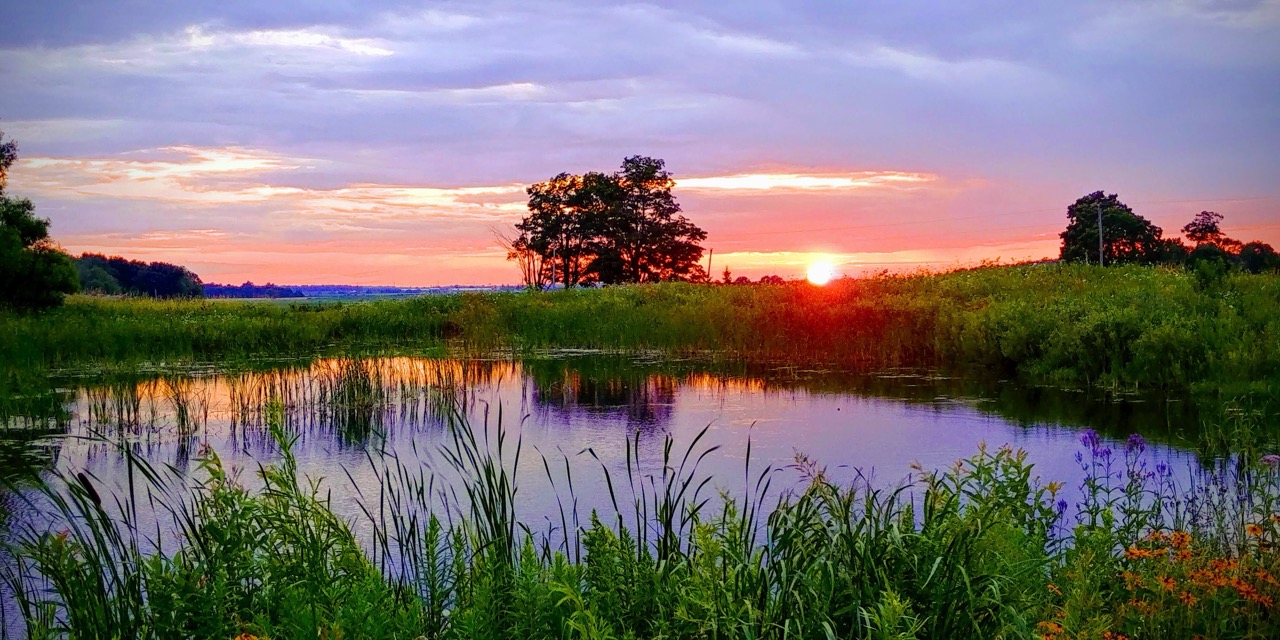 12675 Sixteen Mile Rd, Denfield, Ontario    - Photo 22 - RP4017114027