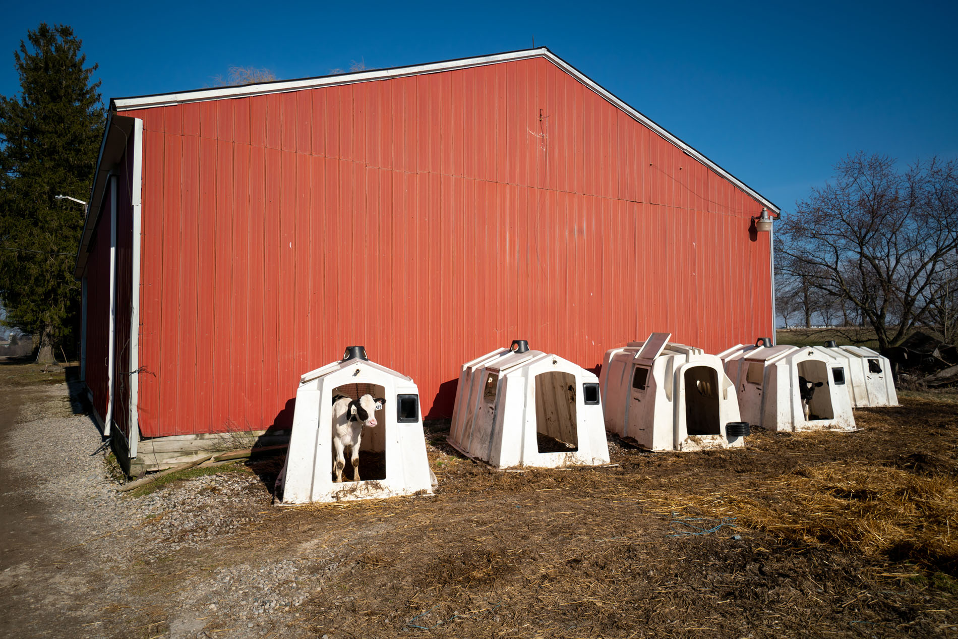 456031 45th Line, Embro, Ontario  N0J 1J0 - Photo 8 - RP1691811950