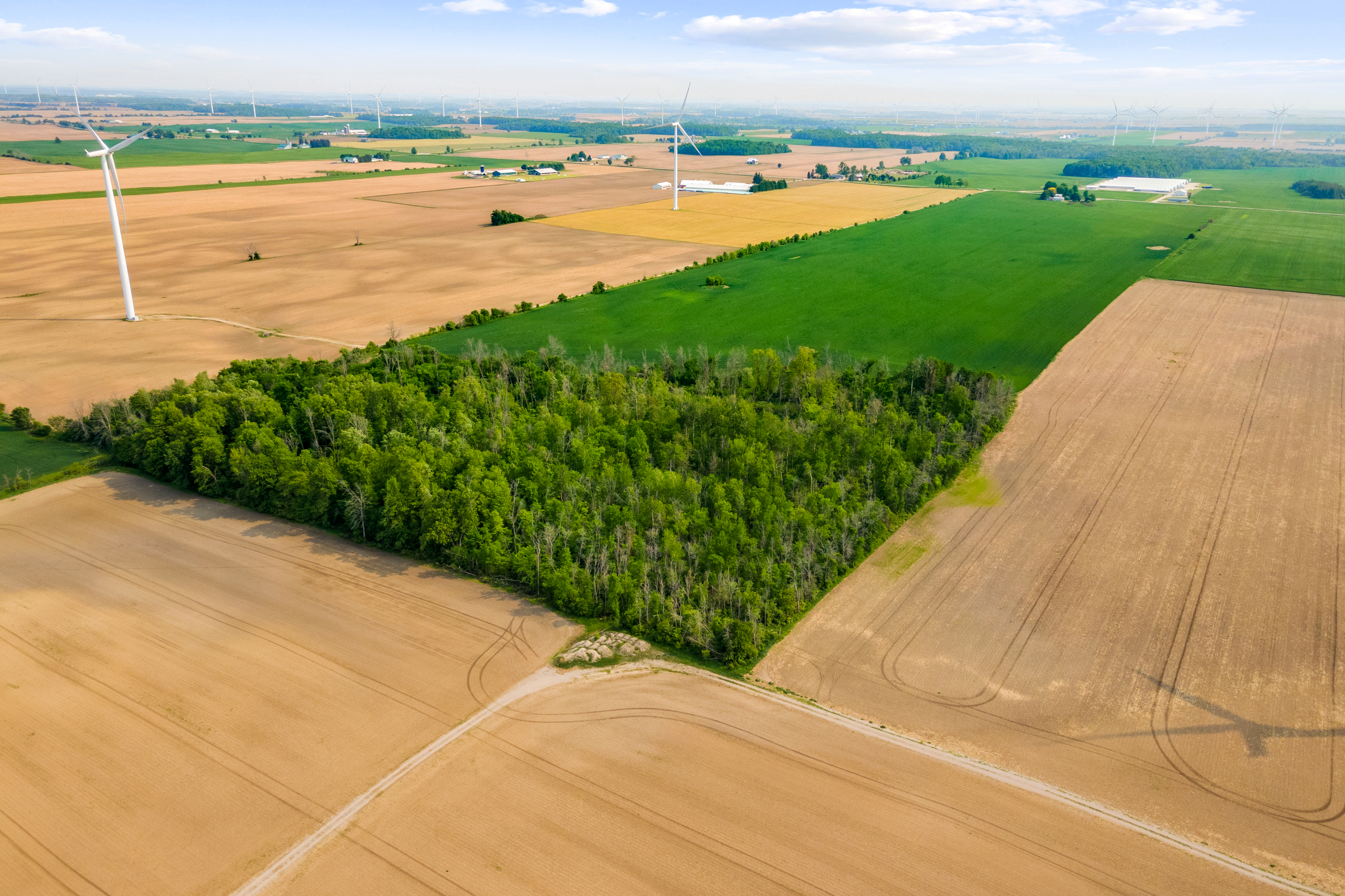 Con 13 Lot 3 Zion Rd, Lucknow, Ontario    - Photo 10 - RP1427759584