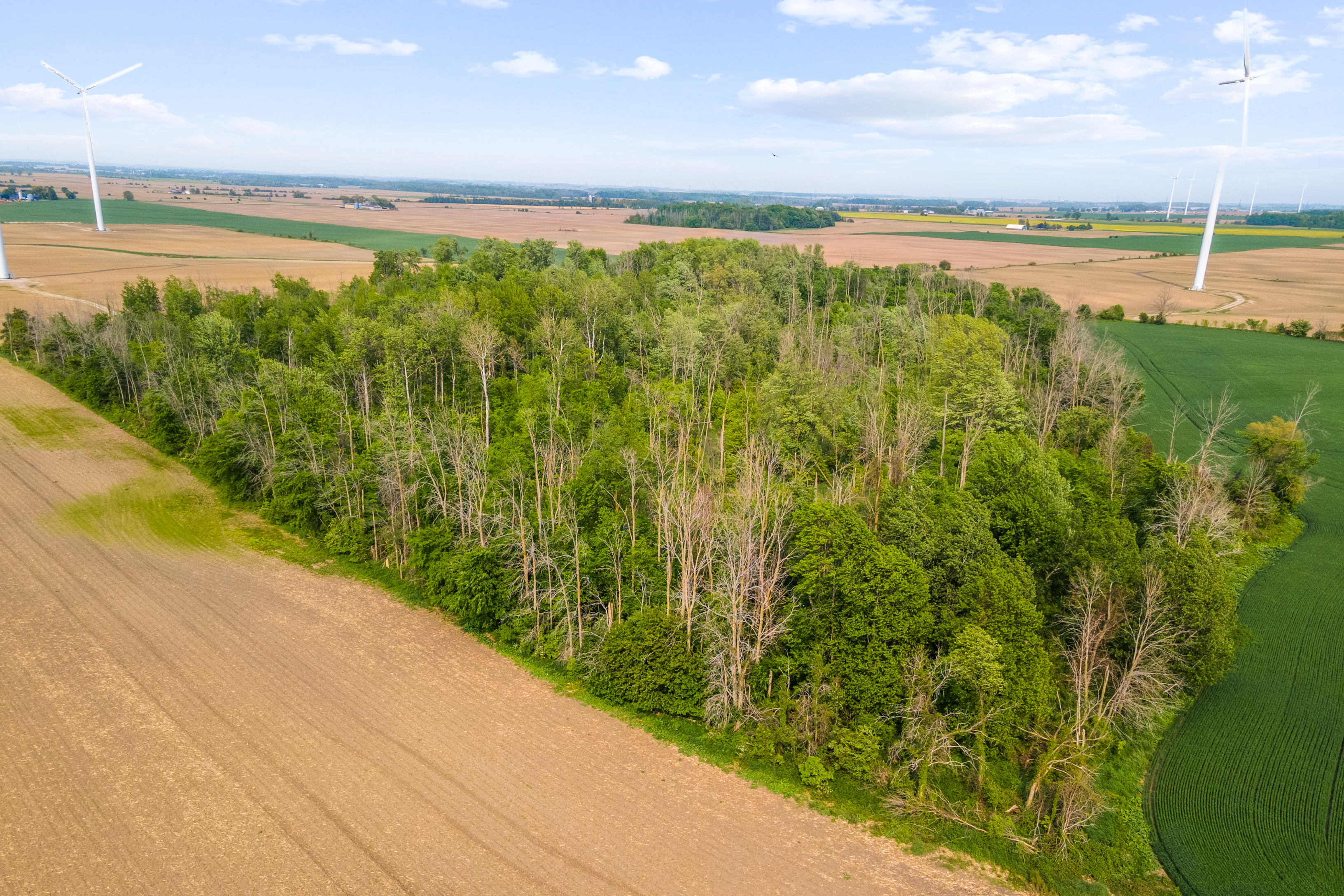 Con 13 Lot 3 Zion Rd, Lucknow, Ontario    - Photo 13 - RP1427759584