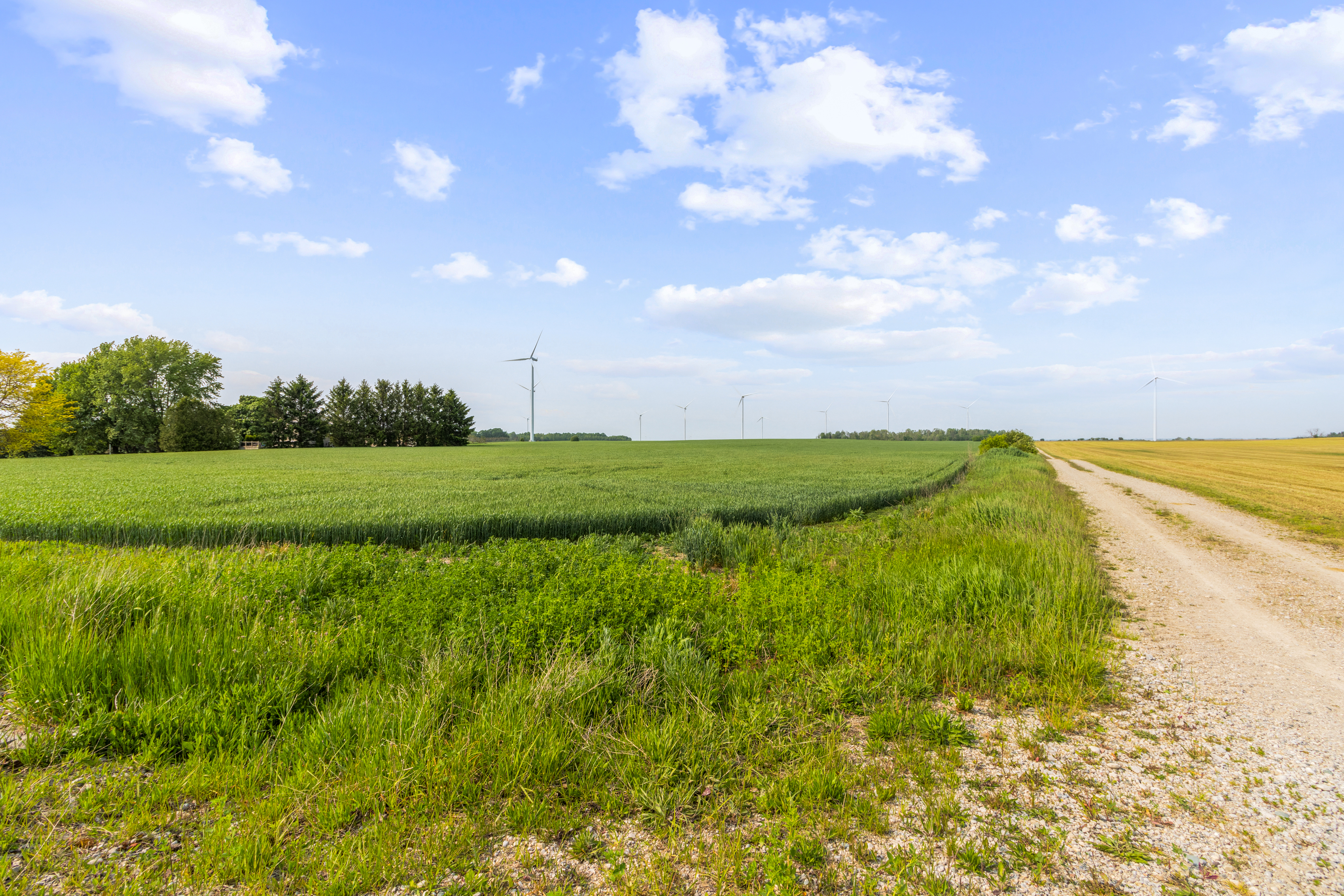 Con 13 Lot 3 Zion Rd, Lucknow, Ontario    - Photo 5 - RP1427759584