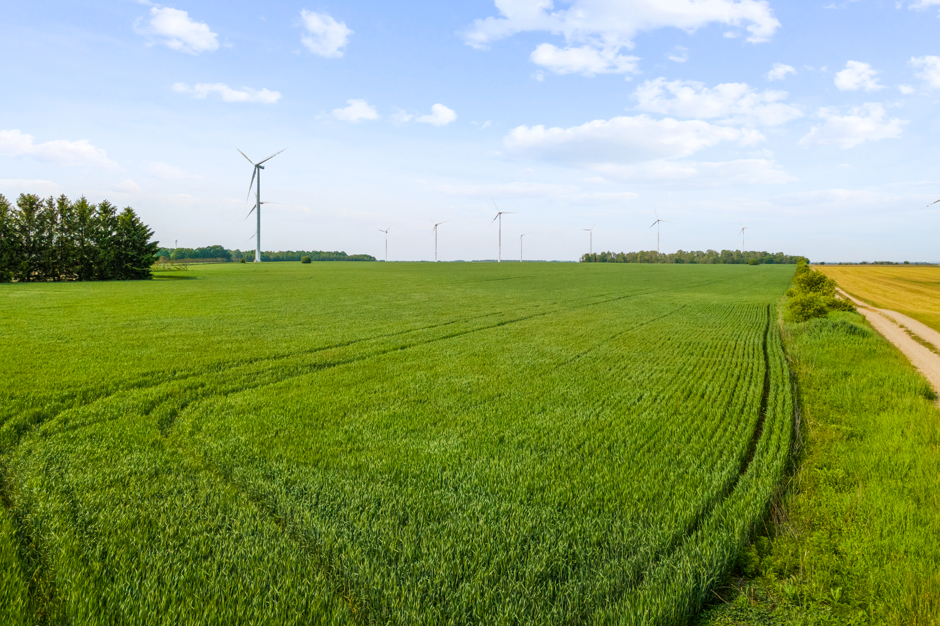 Con 13 Lot 3 Zion Rd, Lucknow, Ontario    - Photo 6 - RP1427759584