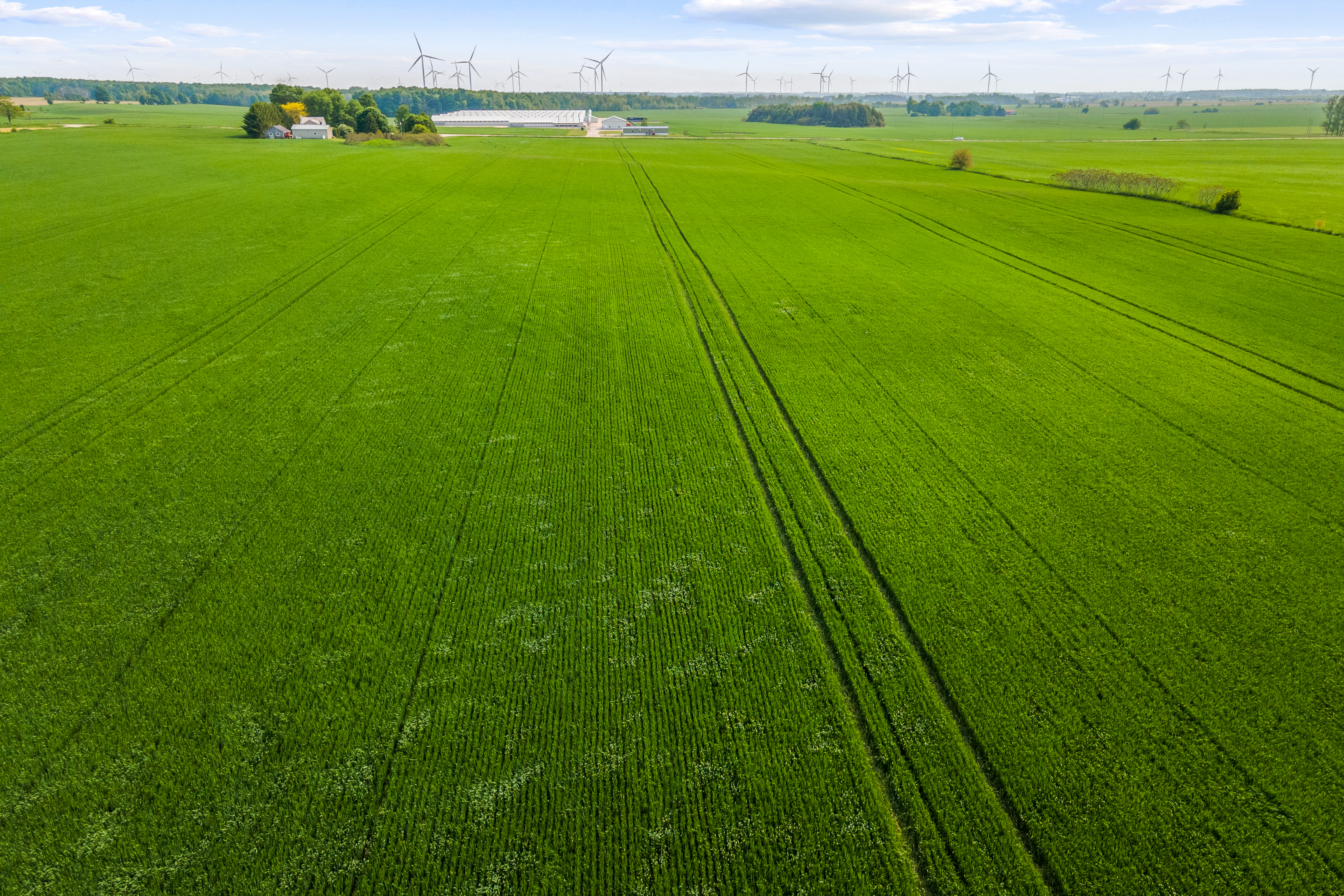 Con 13 Lot 3 Zion Rd, Lucknow, Ontario    - Photo 7 - RP1427759584