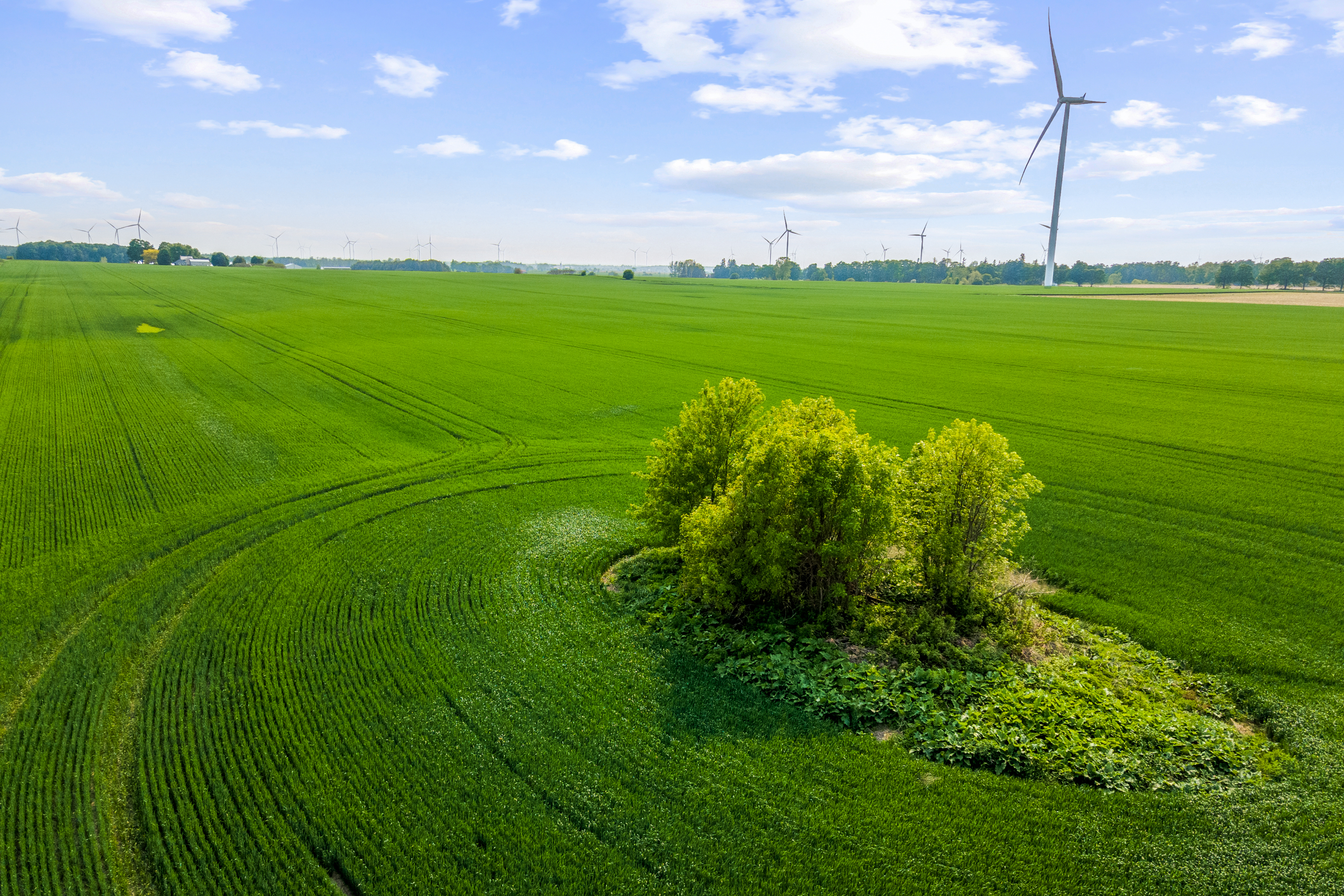 Con 13 Lot 3 Zion Rd, Lucknow, Ontario    - Photo 8 - RP1427759584