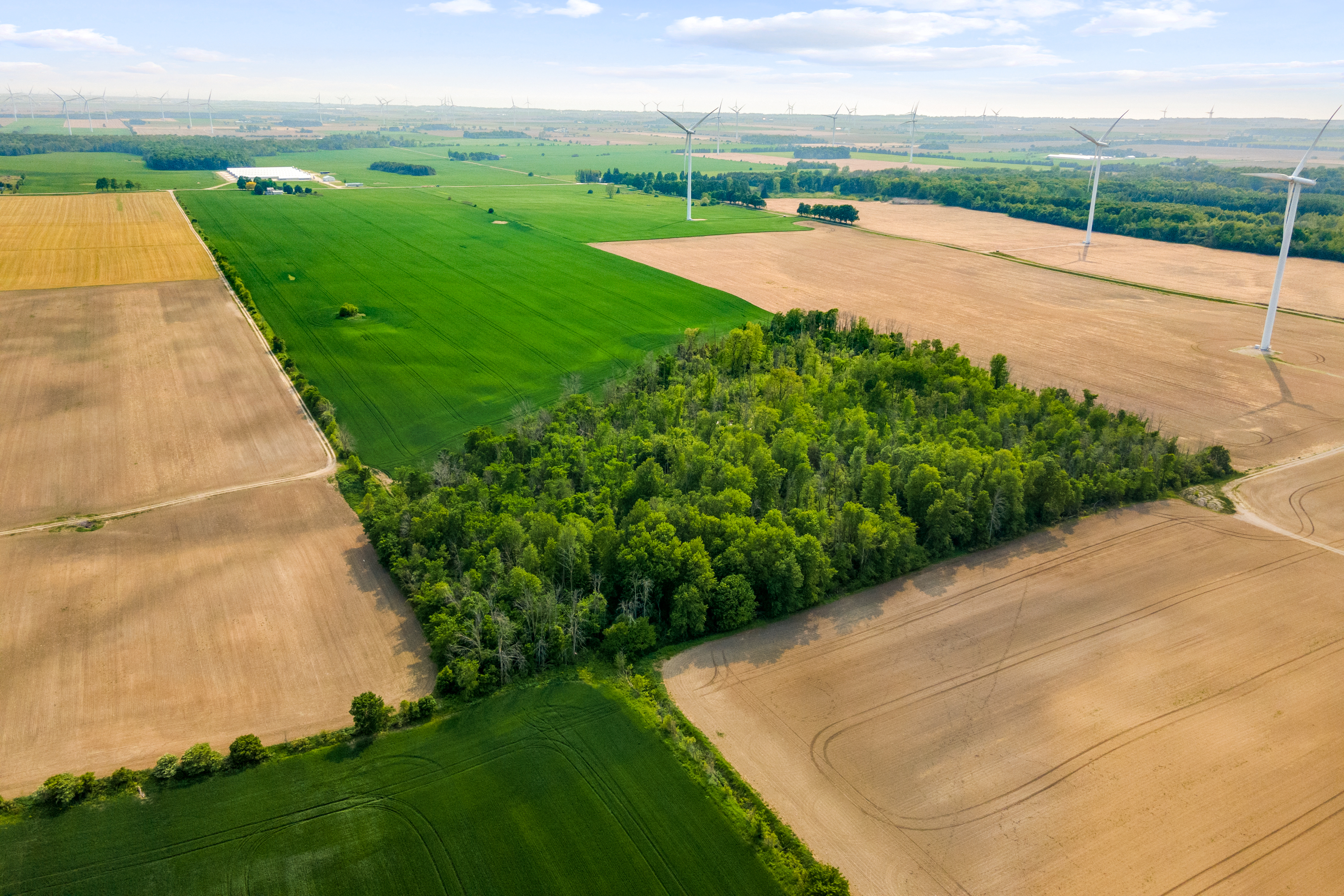 Con 13 Lot 3 Zion Rd, Lucknow, Ontario    - Photo 9 - RP1427759584