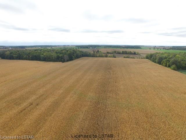 244126 & 244145 Airport Rd, Tillsonburg, Ontario  N4G 4H1 - Photo 2 - RP3986938453