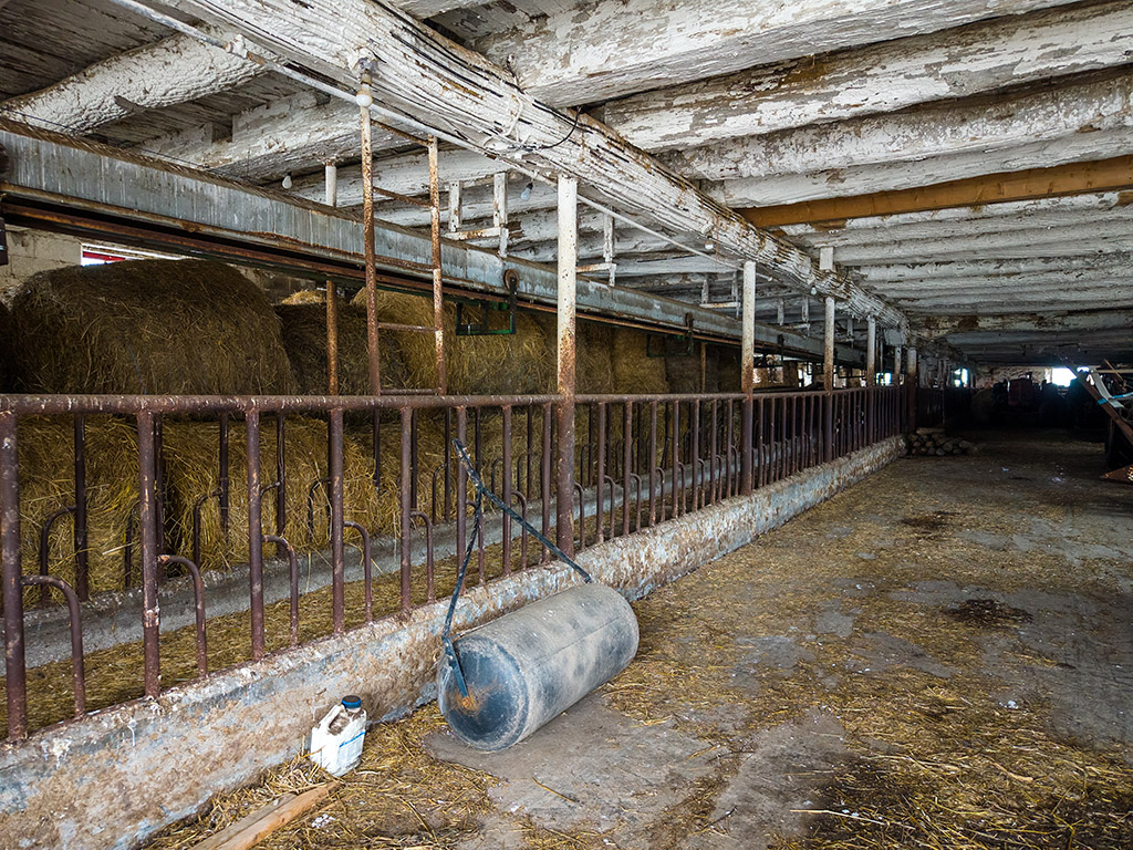 383250 Dawson Rd, Kemble, Ontario    - Photo 25 - RP7093082050