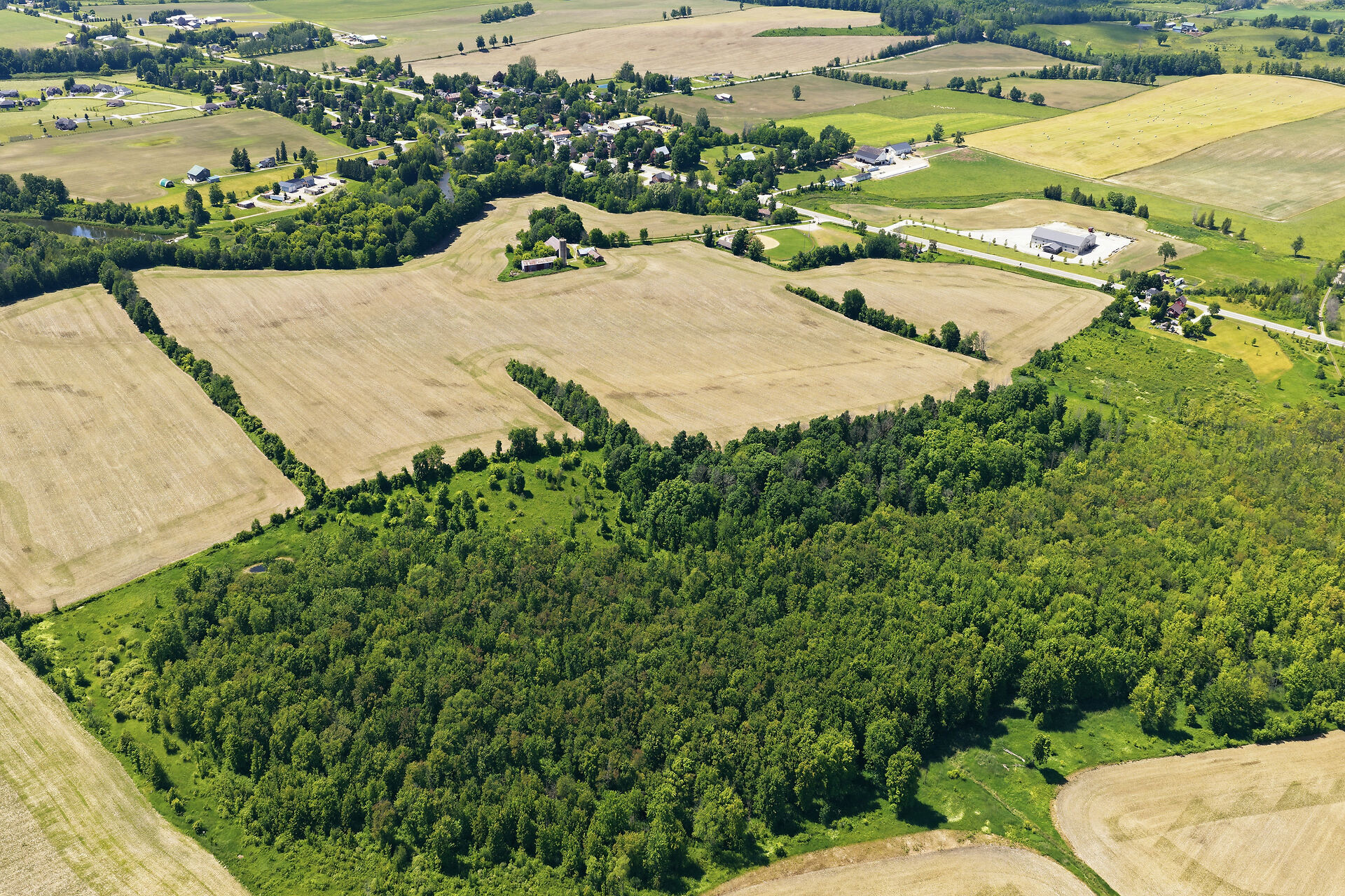 7786 Highway 21, Arran-Elderslie, Ontario    - Photo 9 - RP9518535370