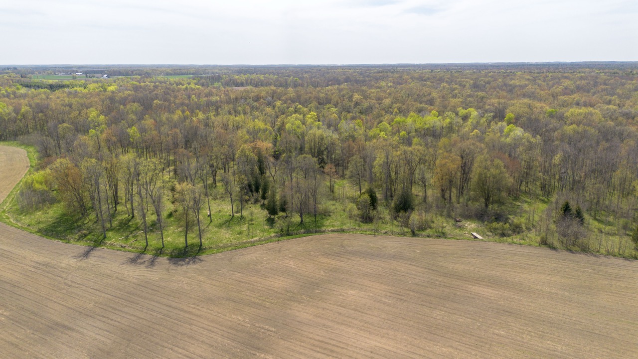 413 Bruce Rd 20, Brockton, Ontario    - Photo 19 - RP9975254352