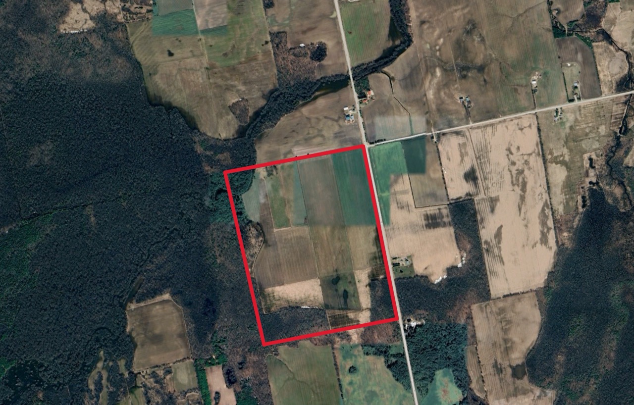 413 Bruce Rd 20, Brockton, Ontario    - Photo 2 - RP9975254352