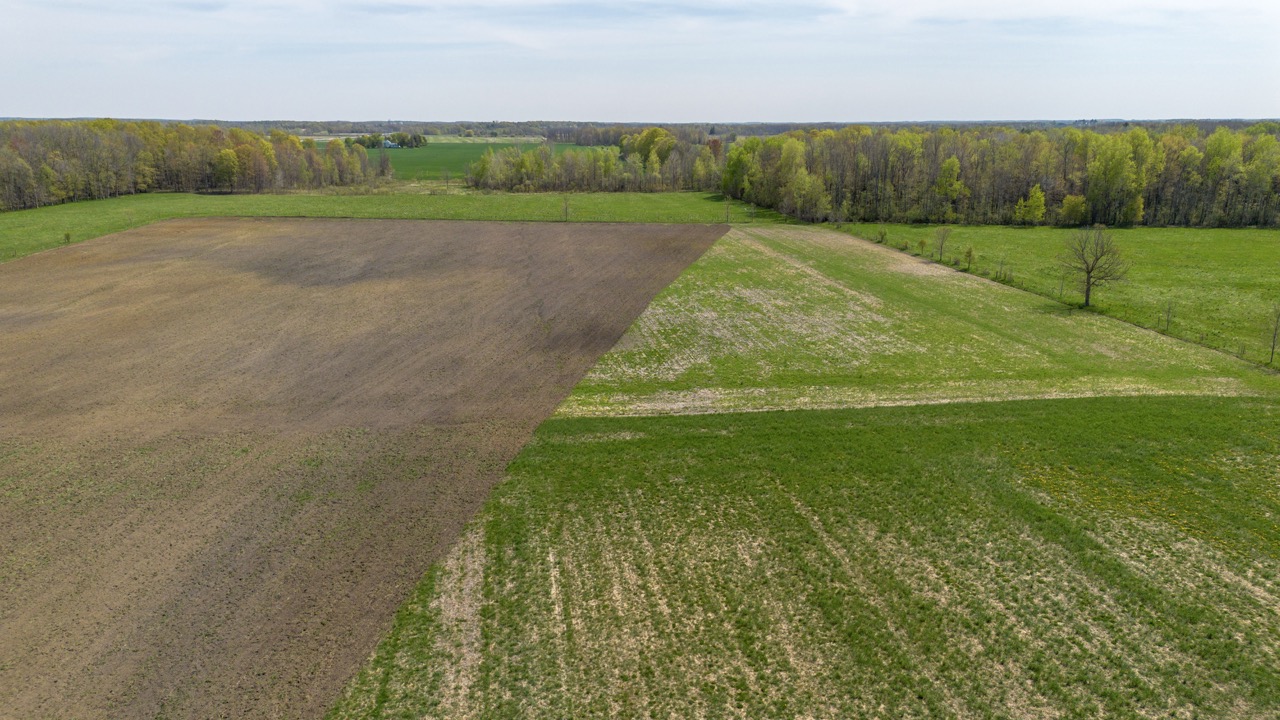 413 Bruce Rd 20, Brockton, Ontario    - Photo 25 - RP9975254352