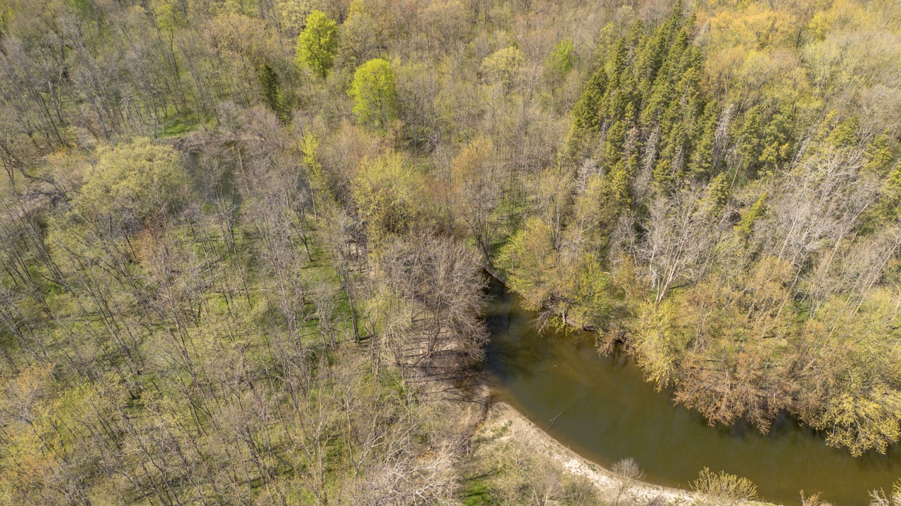 413 Bruce Rd 20, Brockton, Ontario    - Photo 32 - RP9975254352