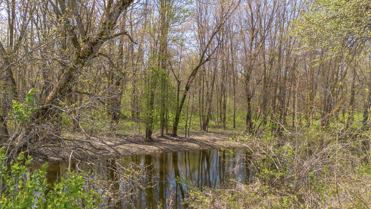 413 Bruce Rd 20, Brockton, Ontario    - Photo 35 - RP9975254352