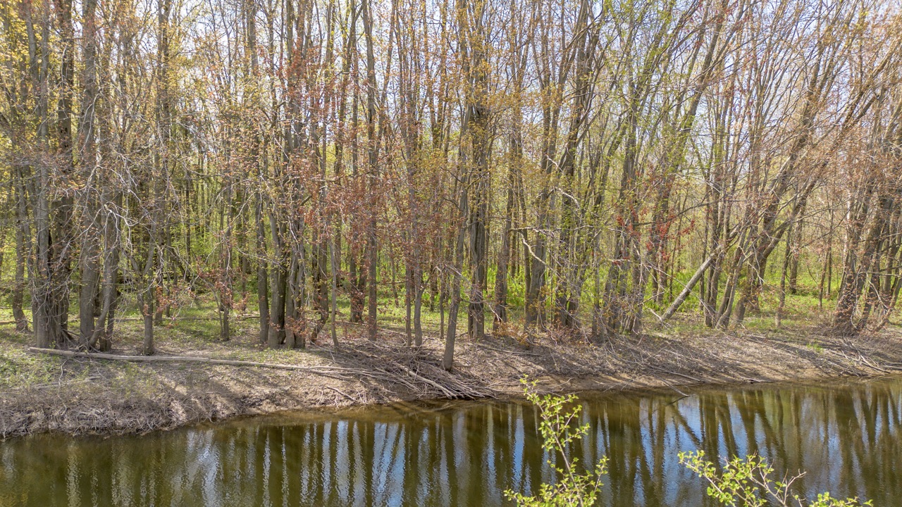 413 Bruce Rd 20, Brockton, Ontario    - Photo 36 - RP9975254352