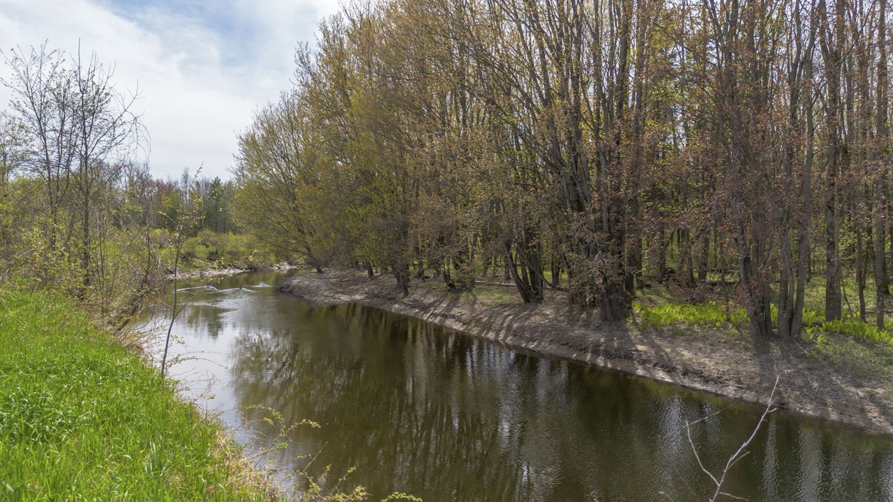 413 Bruce Rd 20, Brockton, Ontario    - Photo 37 - RP9975254352