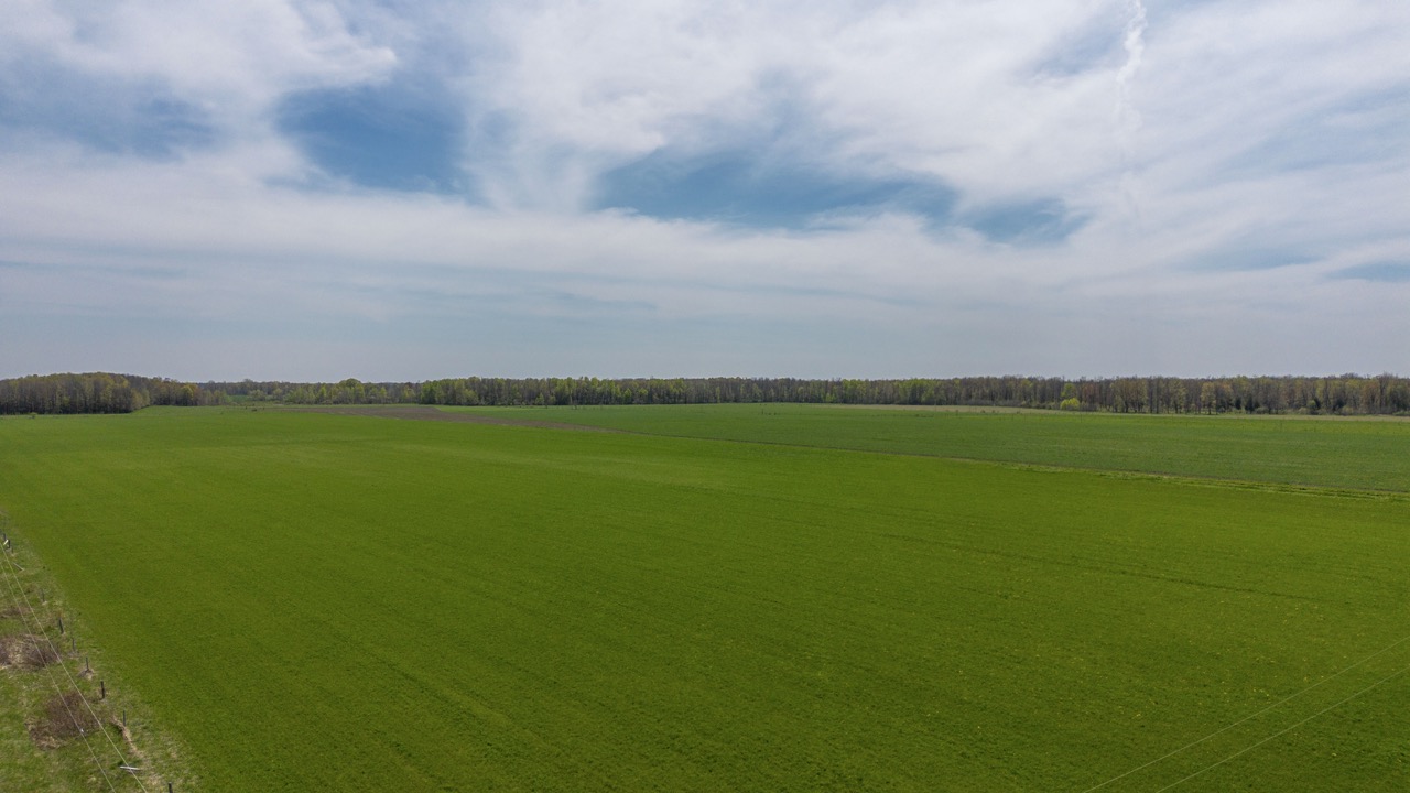 413 Bruce Rd 20, Brockton, Ontario    - Photo 6 - RP9975254352