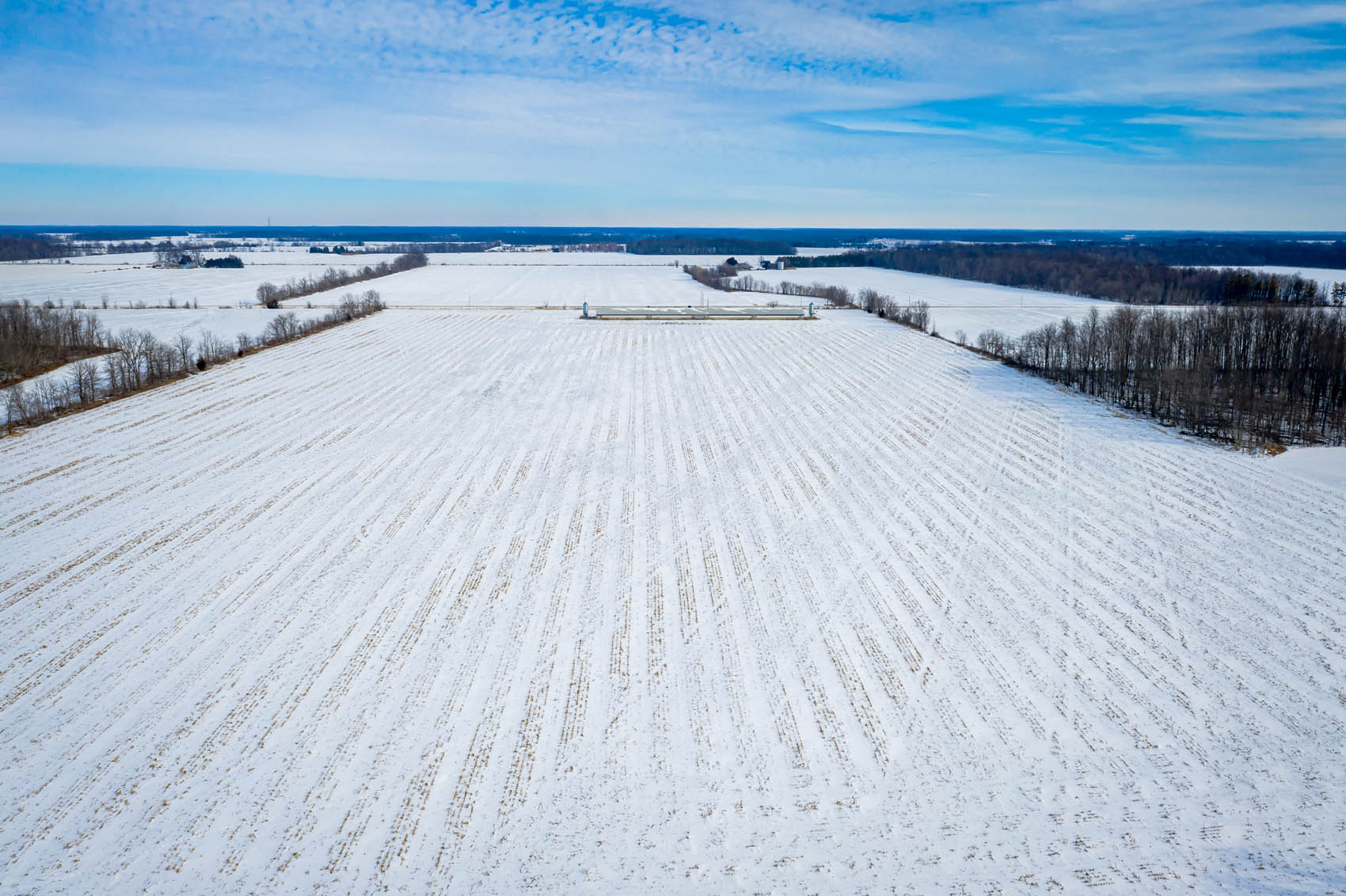 1497 Forest Road, Florence, Ontario  N0P 1R0 - Photo 6 - RP8253167294