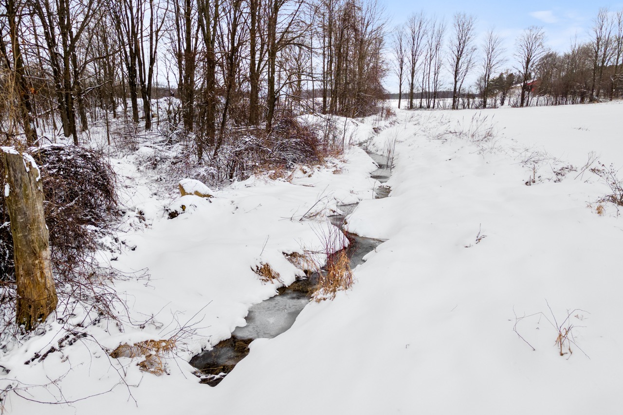 802062 Grey Road 40, Chatsworth, Ontario  N0H 1G0 - Photo 8 - RP167621717